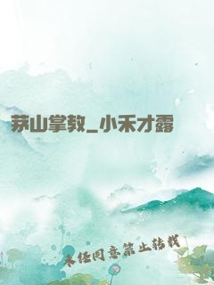 茅山掌教