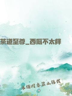 茶道至尊