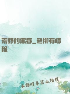荒野的黑客