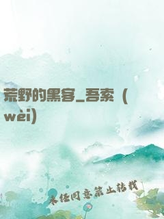 荒野的黑客