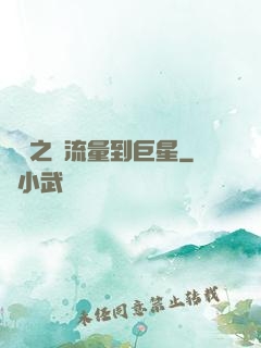 華娛之從流量到巨星