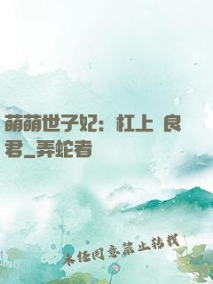 萌萌世子妃：杠上無良君