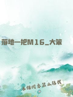 落地一把M16