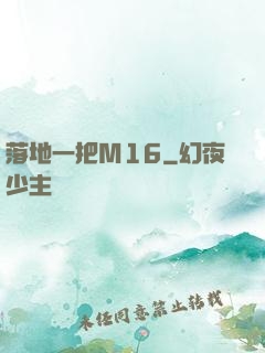 落地一把M16