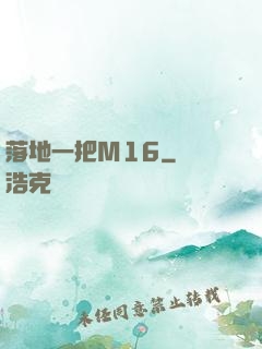 落地一把M16