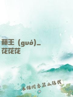 藤王國(guó)