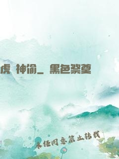 虎膽神偷
