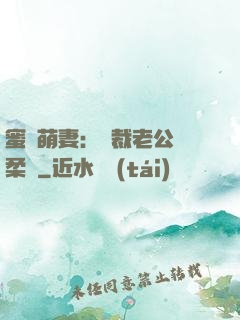 蜜寵萌妻：總裁老公溫柔寵