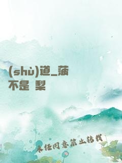 術(shù)道