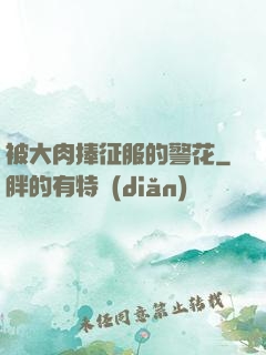 被大肉捧征服的警花