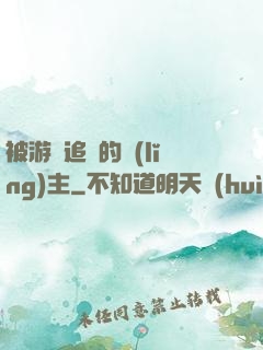 被游戲追殺的領(lǐng)主