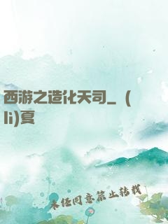 西游之造化天司