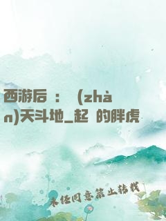 西游后紀：戰(zhàn)天斗地
