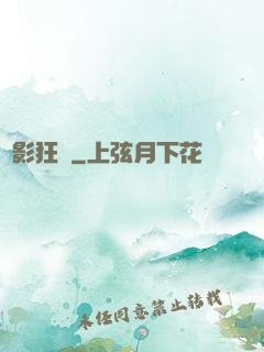 詭影狂盜