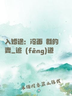 誤入婚途：冷面總裁的囧妻