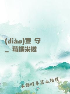 調(diào)查員守則