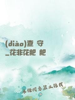 調(diào)查員守則