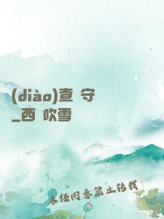 調(diào)查員守則