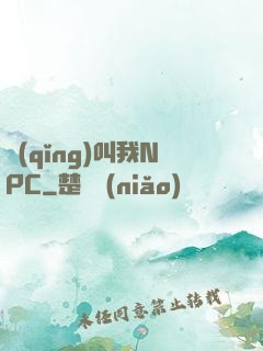 請(qǐng)叫我NPC
