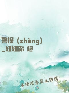 警探長(zhǎng)