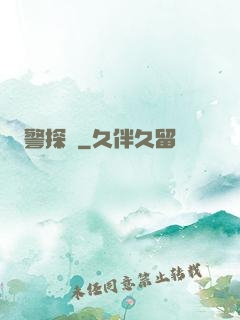 警探長