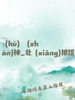 護(hù)國戰(zhàn)神