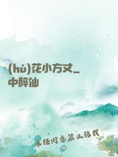 護(hù)花小方丈