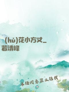 護(hù)花小方丈