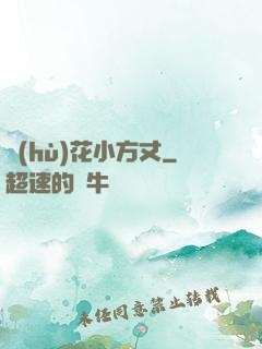 護(hù)花小方丈