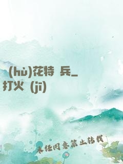 護(hù)花特種兵