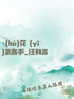護(hù)花醫(yī)武高手