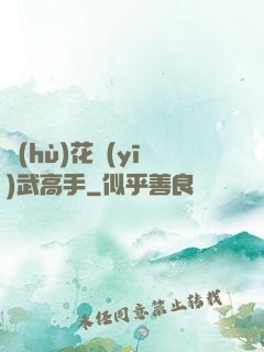 護(hù)花醫(yī)武高手