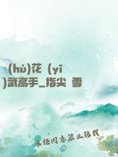 護(hù)花醫(yī)武高手