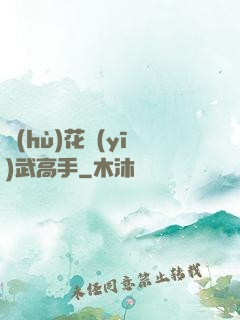 護(hù)花醫(yī)武高手