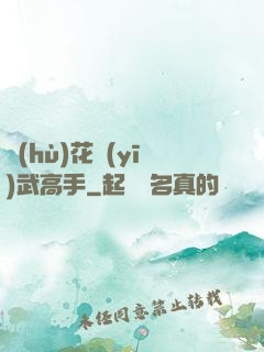 護(hù)花醫(yī)武高手
