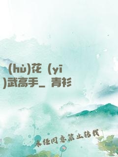 護(hù)花醫(yī)武高手