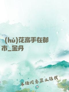 護(hù)花高手在都市