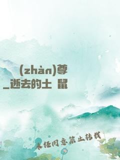護國戰(zhàn)尊