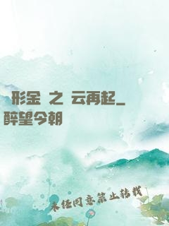 變形金剛之風云再起