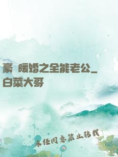 豪門暖婚之全能老公