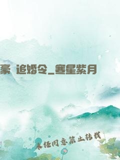 豪門追婚令