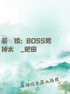 豪門閃婚：BOSS男神太難纏