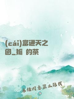 財(cái)富通天之輪回