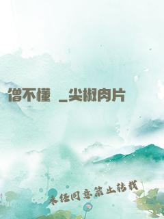 貧僧不懂愛