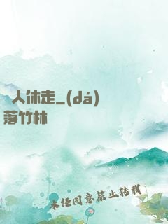 賊人休走