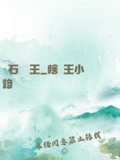 賭石鑒寶王