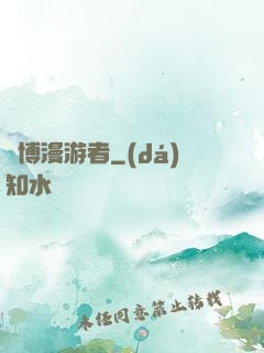 賽博漫游者
