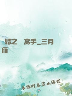 贅婿之無敵高手