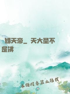 贅婿天帝