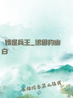 贅婿是兵王